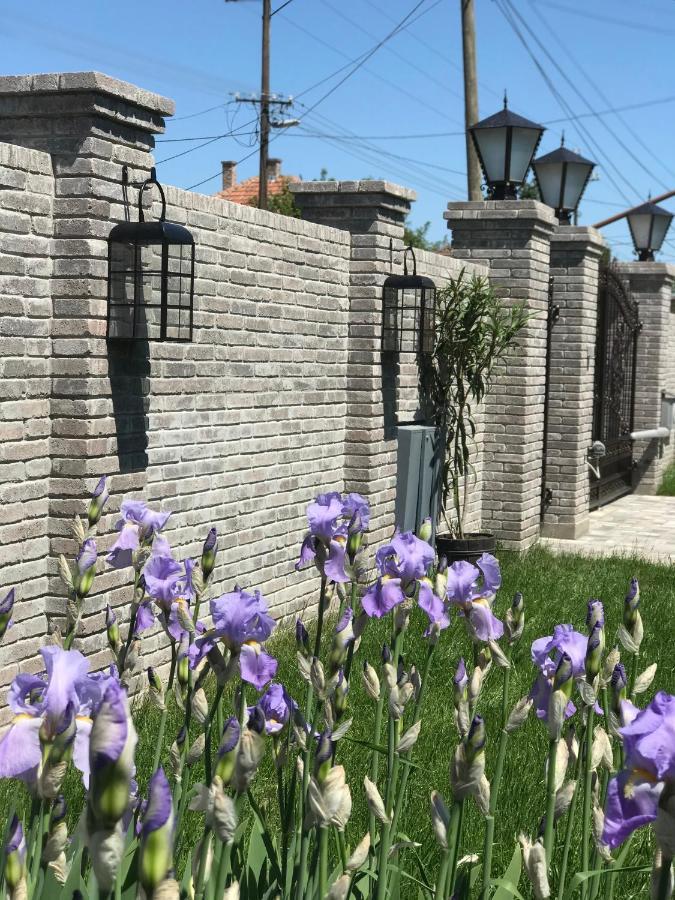 Eden Apartman Algyo Exteriér fotografie